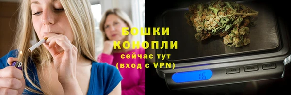шишки Надым
