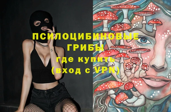 крисы Михайловка