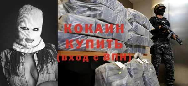 амф Дмитриев