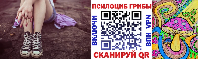купить   Элиста  Псилоцибиновые грибы прущие грибы 